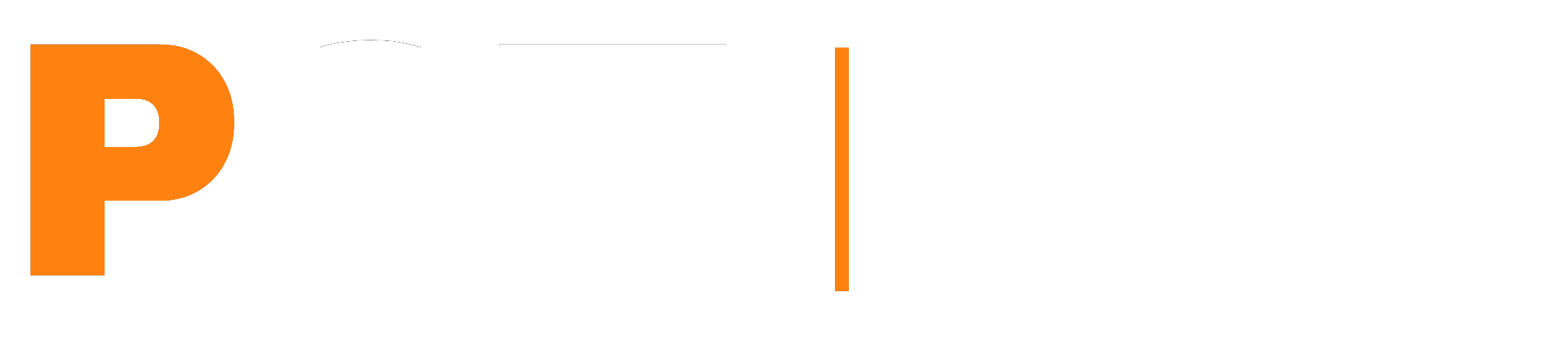 PST — Professional Support Technologies