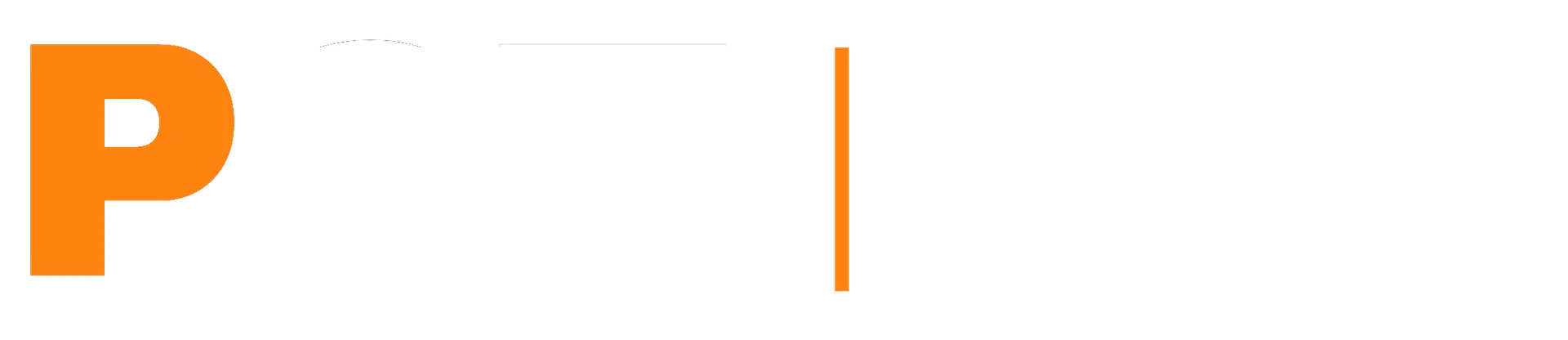 PST — Professional Support Technologies